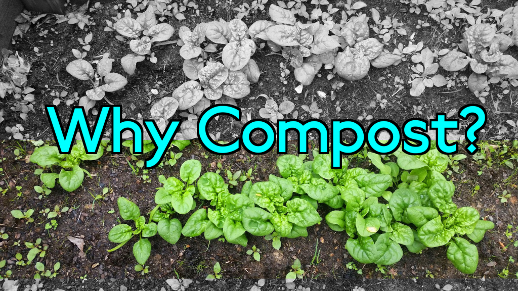 Why Compost with Compost Asheville?
